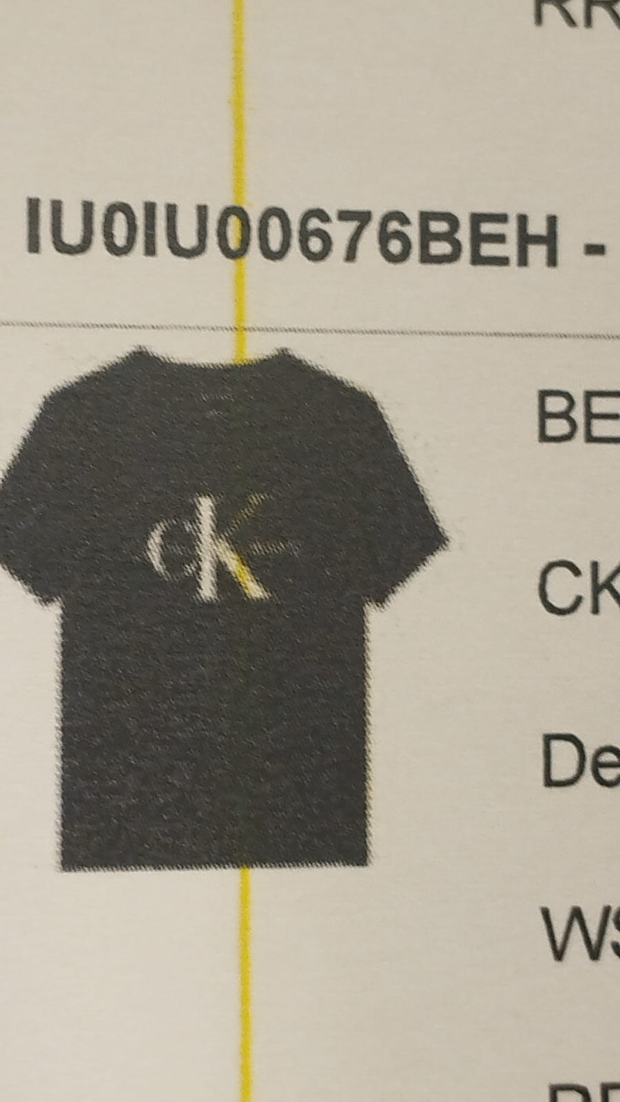 CALVIN KLEIN-Tshirt Boy