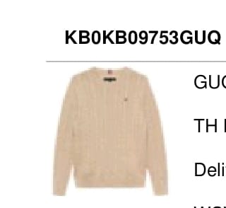 TOMMY HILFIGER-Felpa Boy