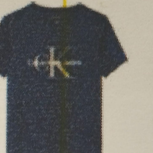 CALVIN KLEIN-Tshirt Boy