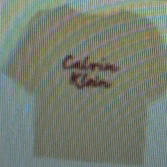 CALVIN KLEIN-Maglia Girl