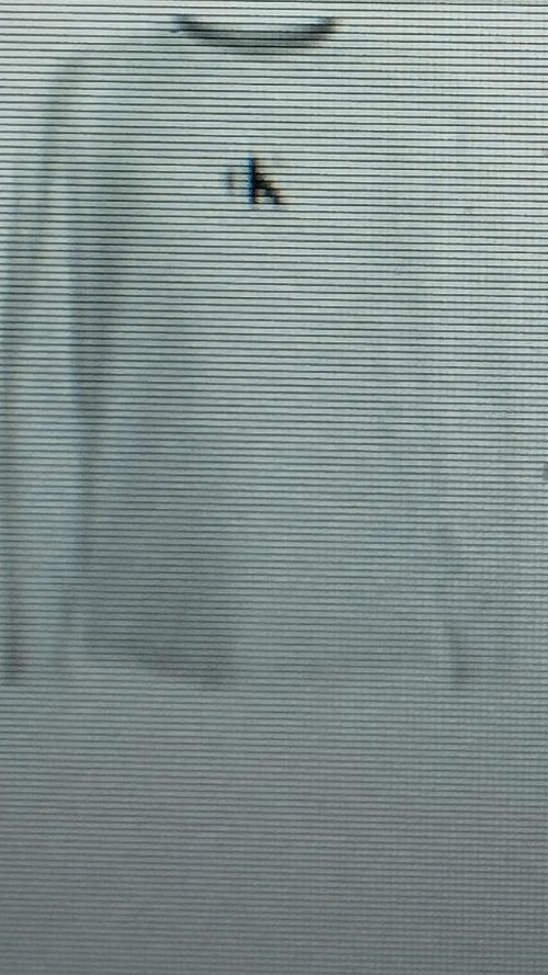 calvin klein-maglia girl