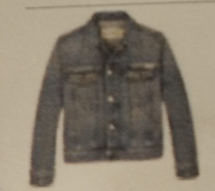 calvinklein-giubbotto boy