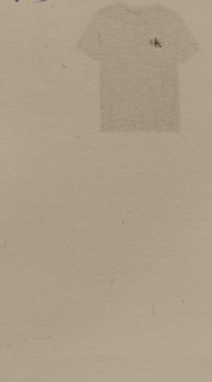 CALVINKLEIN-Tshirt Basic Boy