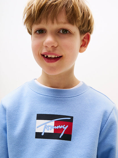 TOMMY HILFIGER-Felpa Boy