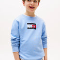 TOMMY HILFIGER-Felpa Boy