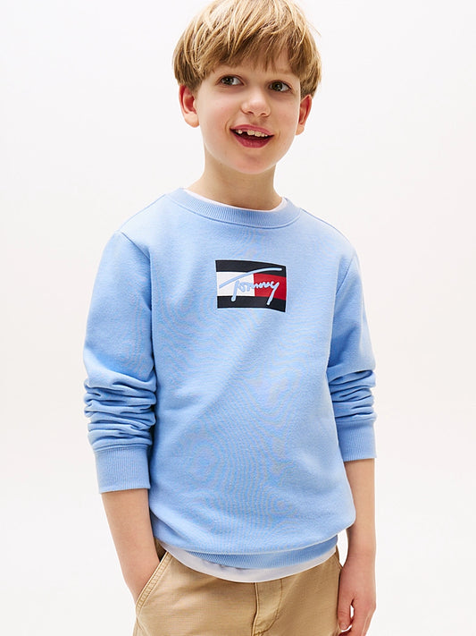 TOMMY HILFIGER-Felpa Boy