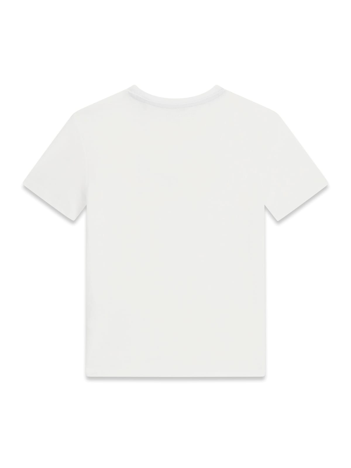 guess-tshirt basic boy