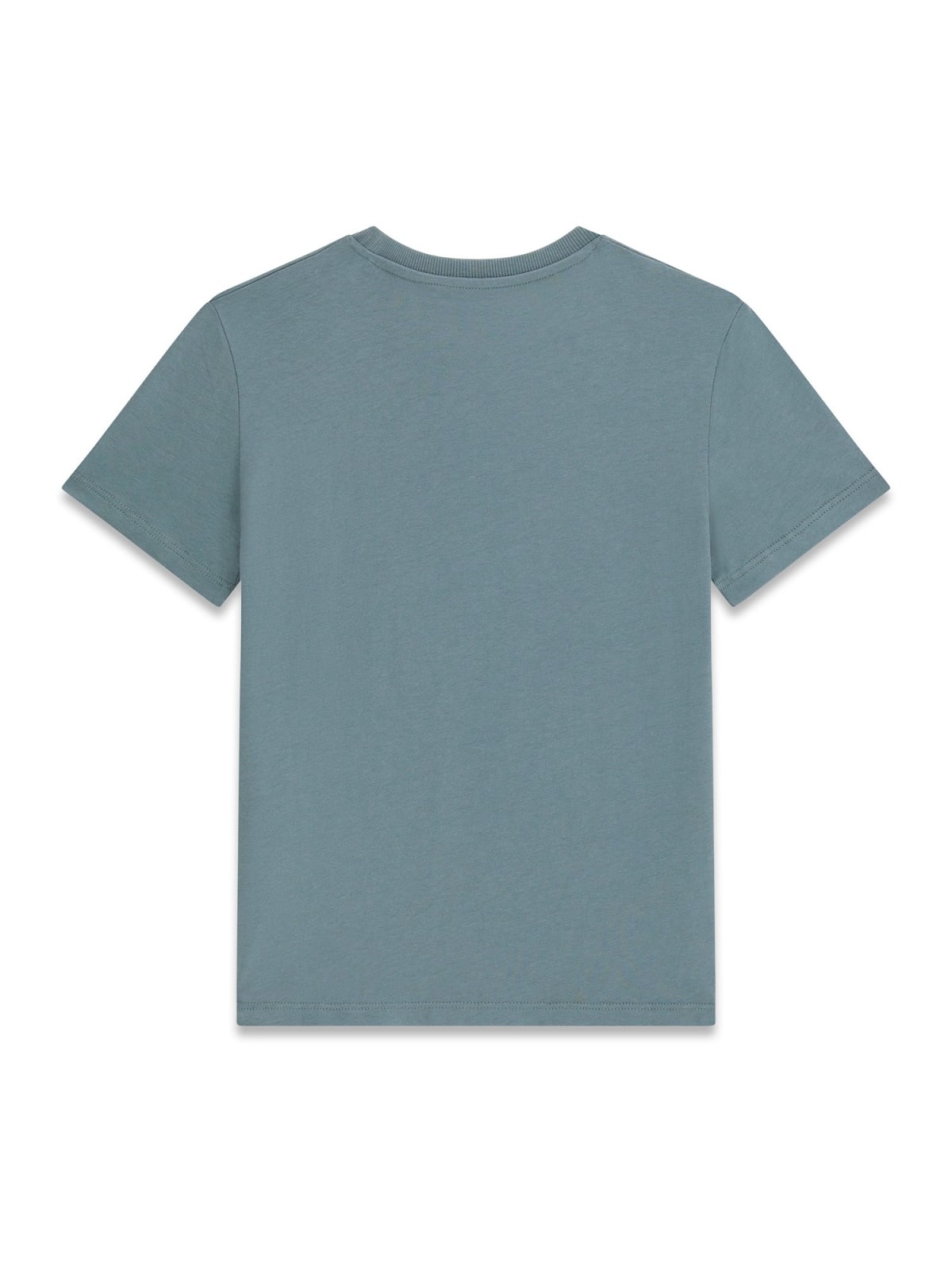 guess-tshirt basic boy