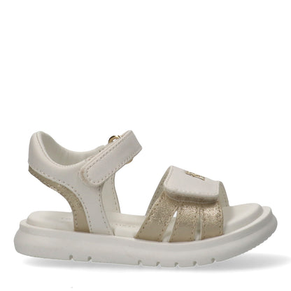 TOMMY HILFIGER-Scarpe Basic Girl